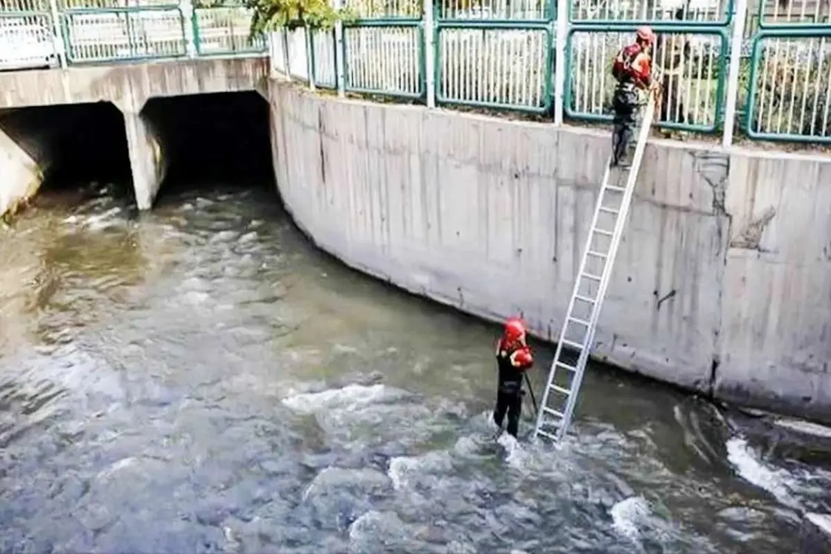فاجعه پاسداران/ ۹ سال بعد از روزی که مریم را آب برد، هنوز قانون می‌گوید زنده است!

