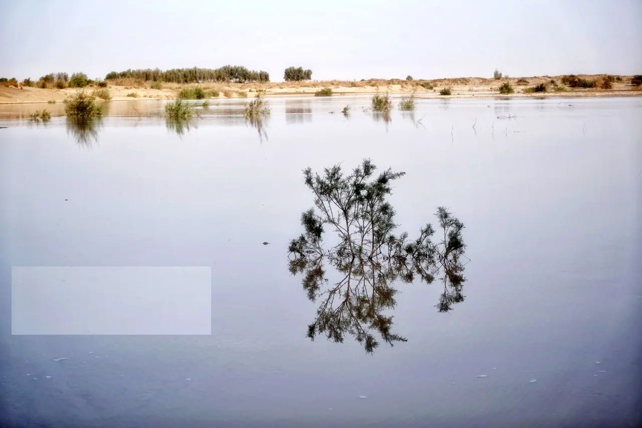 تصاویر؛ ورود آب به سیستان پس از سال‌ها خشکسالی
