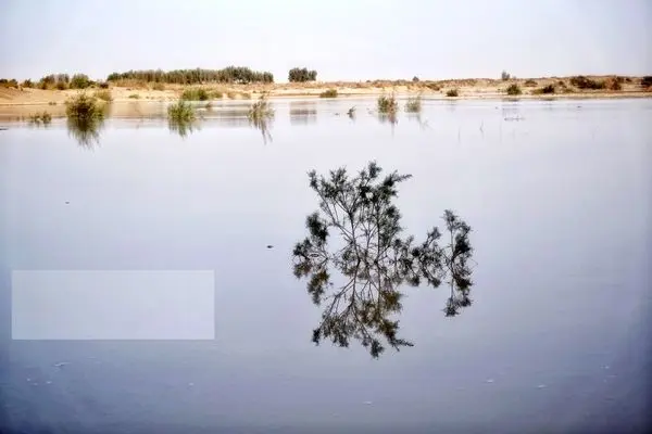 تصاویر؛ ورود آب به سیستان پس از سال‌ها خشکسالی
