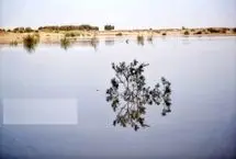 تصاویر؛ ورود آب به سیستان پس از سال‌ها خشکسالی
