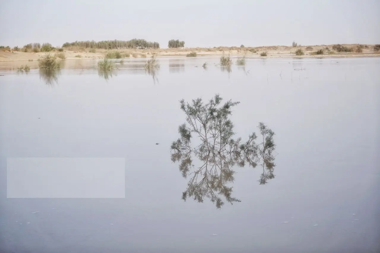 تصاویر؛ ورود آب به سیستان پس از سال‌ها خشکسالی
