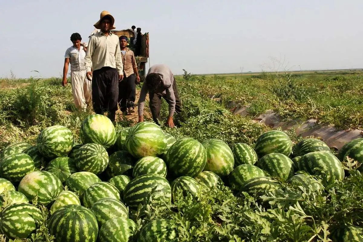 پیشنهاد جالب روزنامه کیهان برای حل بحران آب