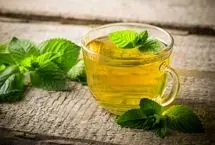درمان آلزایمر با این دو گیاه
