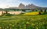 تفال به حافظ پنجشنبه ۱8 اردیبهشت ۱۴۰۴؛کتبت قصه شوقی و مدمعی باکی.....