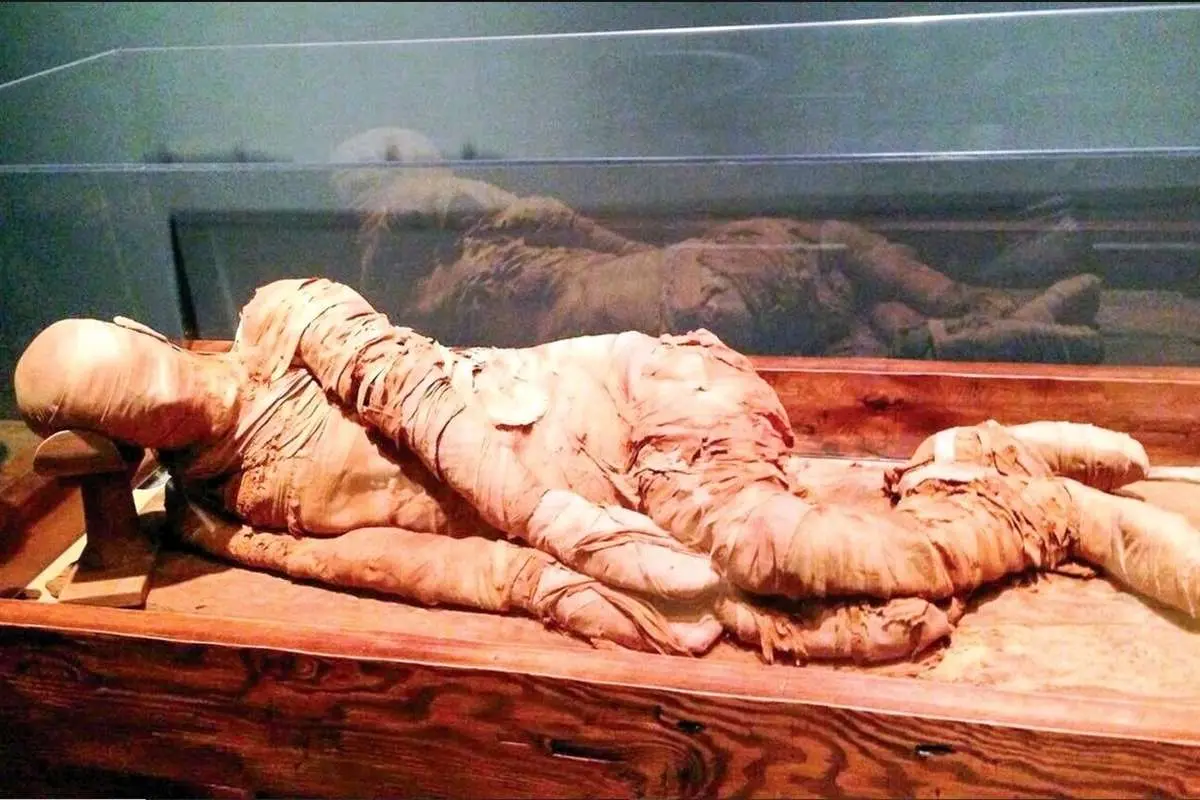 تصاویر عجیب مومیایی‌ها در بزرگ‌ترین موزه جهان در مصر