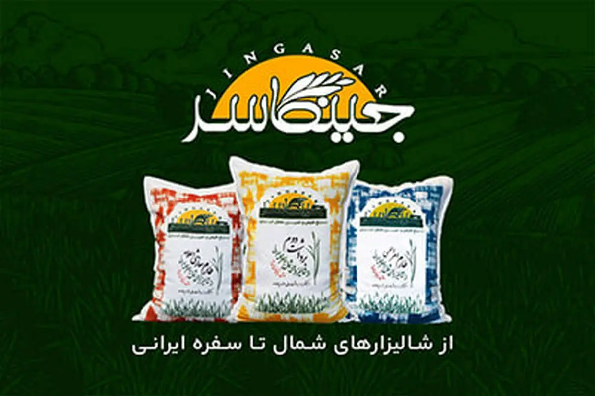 رستوران‌ها و کترینگ‌ها از چه نوع برنج ایرانی استفاده می‌کنند؟ راز پخت و عطر برنج رستورانی