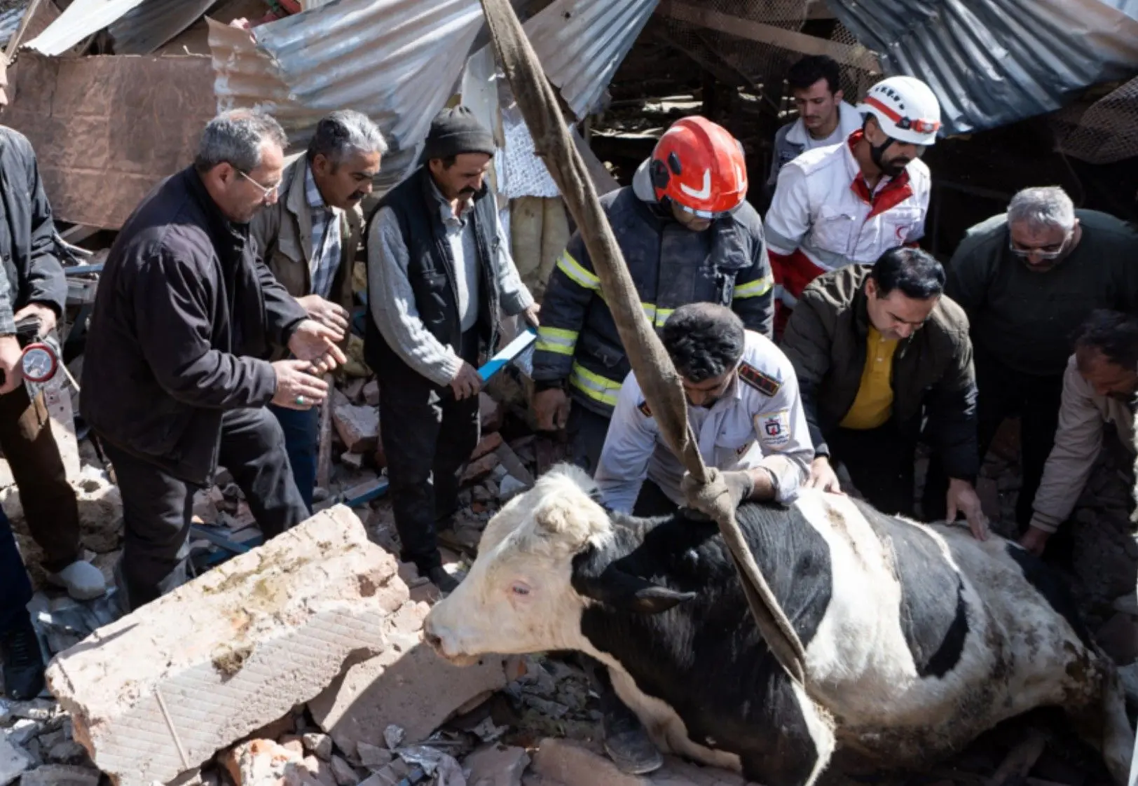 تصاویر؛ آسیب‌های حمله به واحدهای دامداری - تجاری