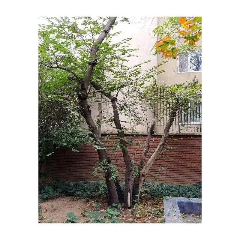 2365380_686