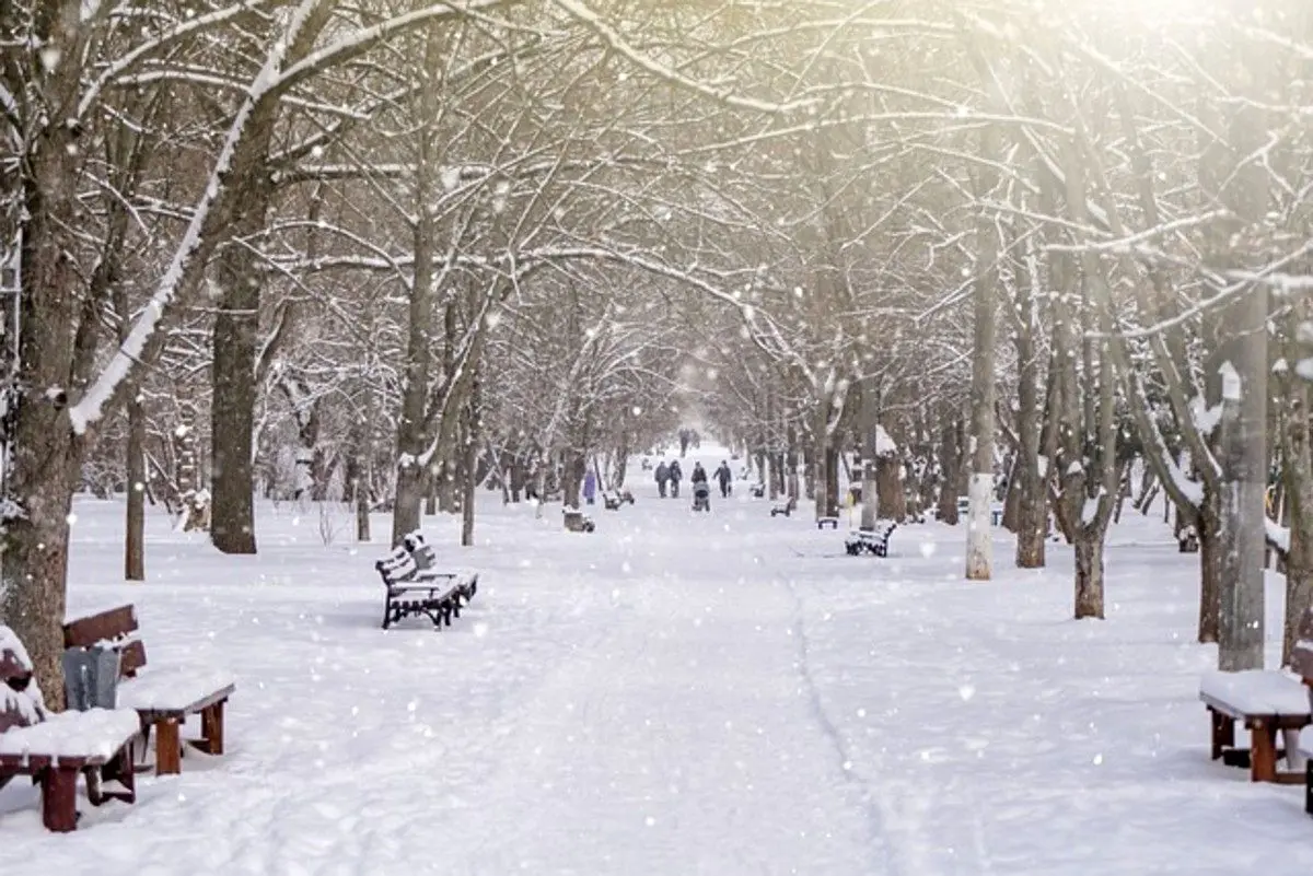 بارش برف و باران ادامه دارد/ هشدار قرمز هواشناسی برای این استان‌ها صادر شد
