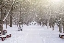 بارش برف و باران ادامه دارد/ هشدار قرمز هواشناسی برای این استان‌ها صادر شد
