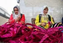 تصاویر؛ جادوی «لی» در دستان زنان گیلان