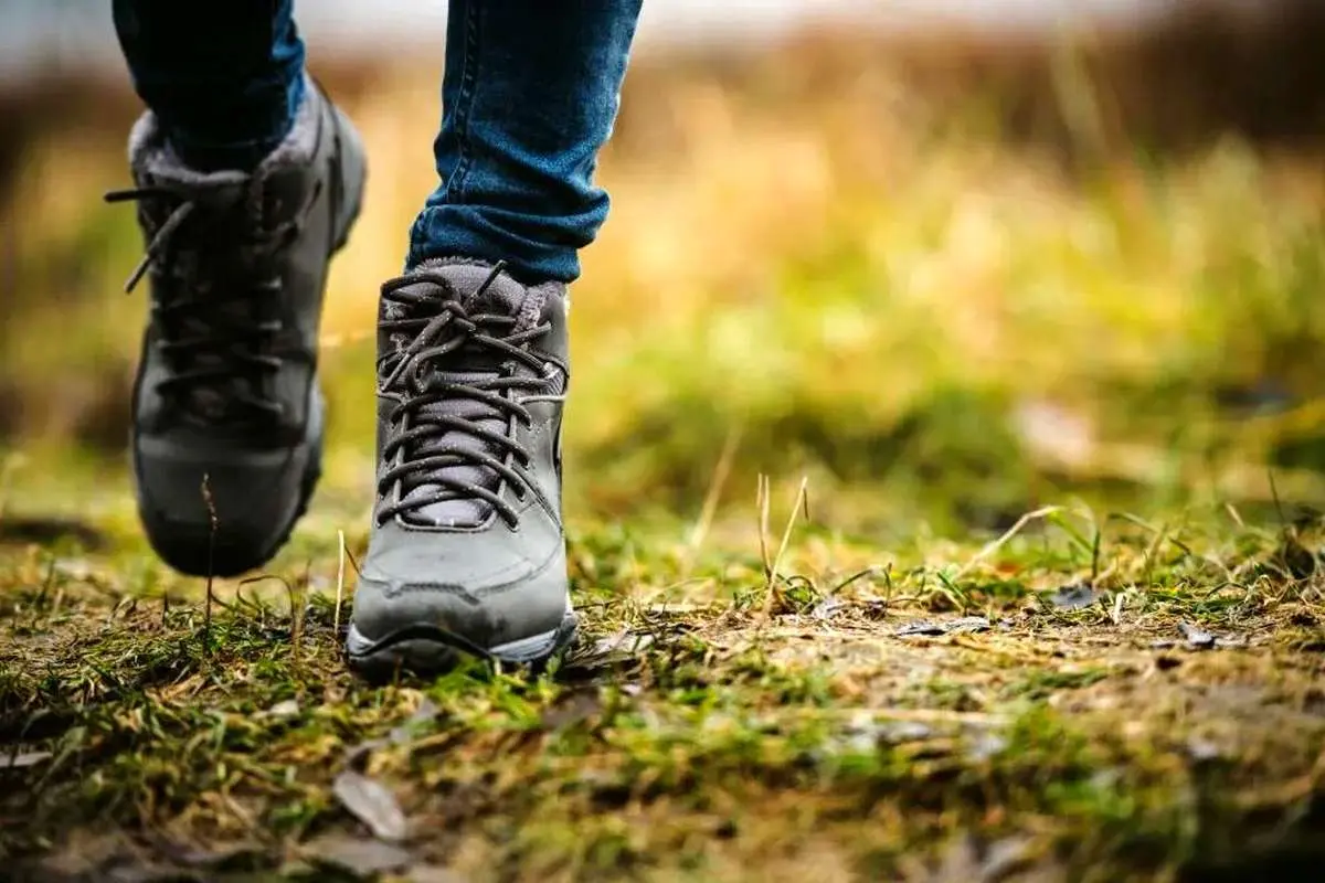 چگونه ضرر نشستن زیاد را جبران کنیم؟ / 3 راهکار ساده متخصصان قلب