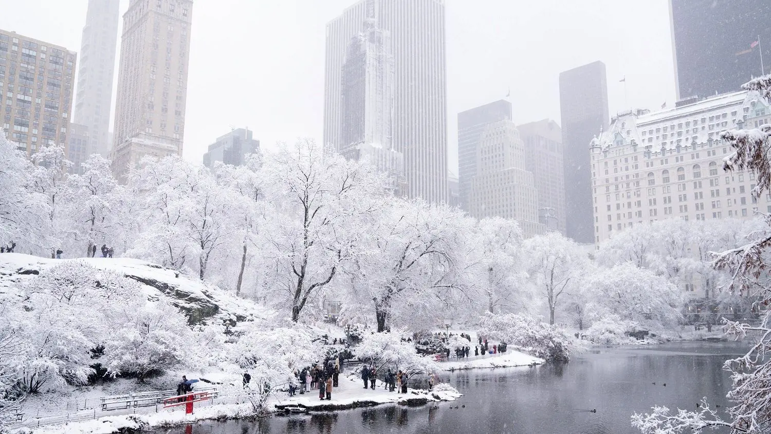 برف نیویورک را سفیدپوش کرد