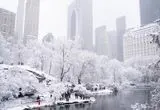 برف نیویورک را سفیدپوش کرد
