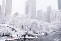 برف نیویورک را سفیدپوش کرد