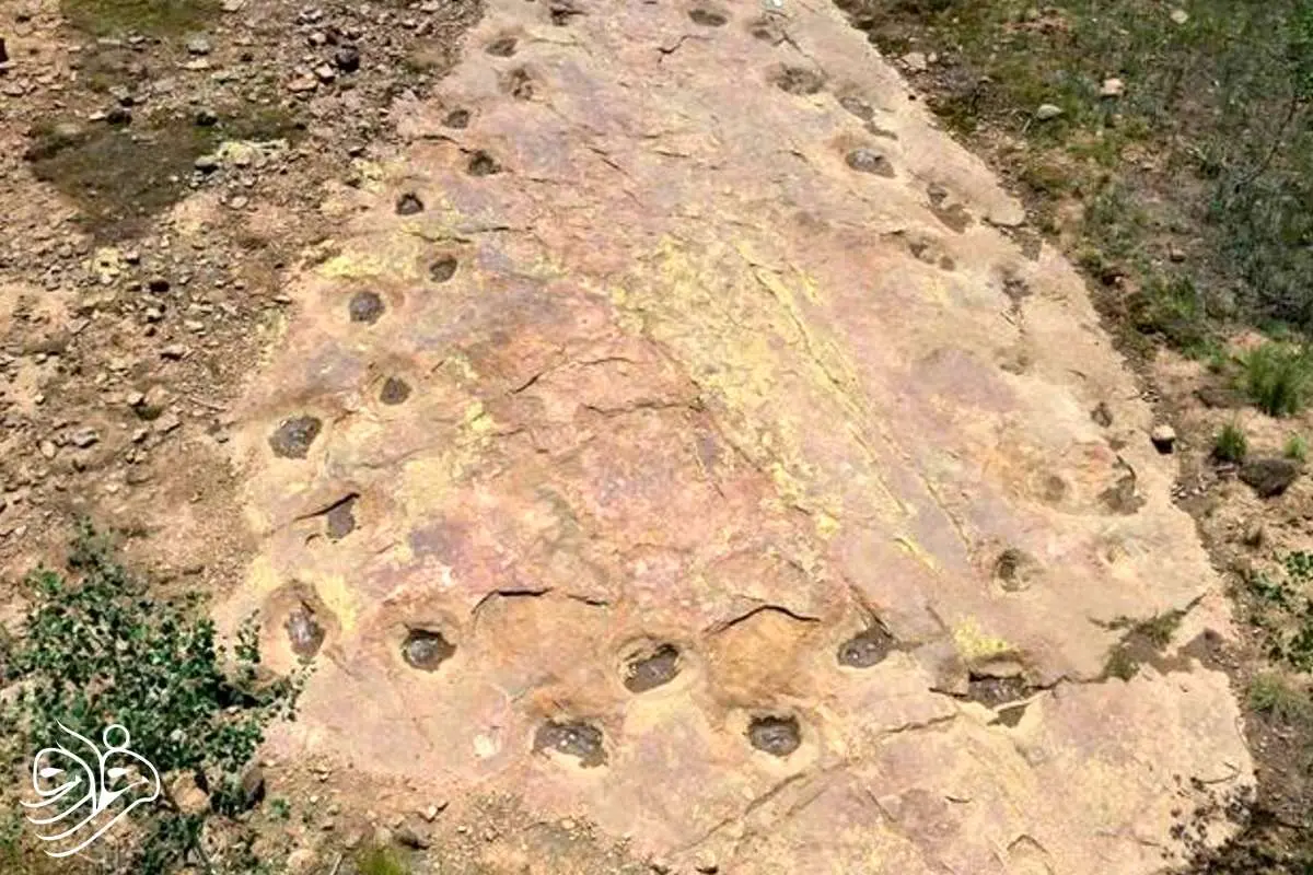 کشف دایناسوری ۱۵۰ میلیون ساله با پاهای لنگان!