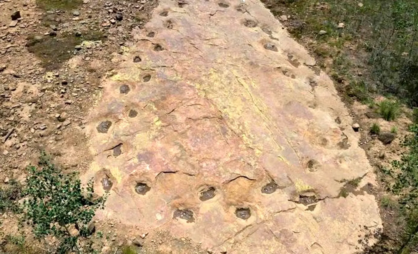 کشف دایناسوری ۱۵۰ میلیون ساله با پاهای لنگان!