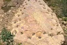 کشف دایناسوری ۱۵۰ میلیون ساله با پاهای لنگان!