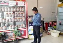 جنجال مرغ 150 هزار تومانی