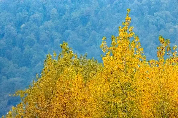 تصاویر؛ فصلِ گذار؛ وقتی رنگ‌ها آرام فرو می‌ریزند