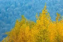 تصاویر؛ فصلِ گذار؛ وقتی رنگ‌ها آرام فرو می‌ریزند