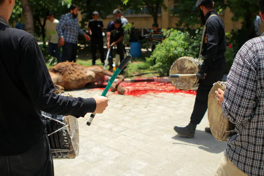 گالری