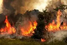 ادامه حریق در جنگل‌های هیرکانی پس از ۲۰ روز/ اعزام پنج بالگرد و یک فروند هواپیمای ایلیوشین به منطقه 