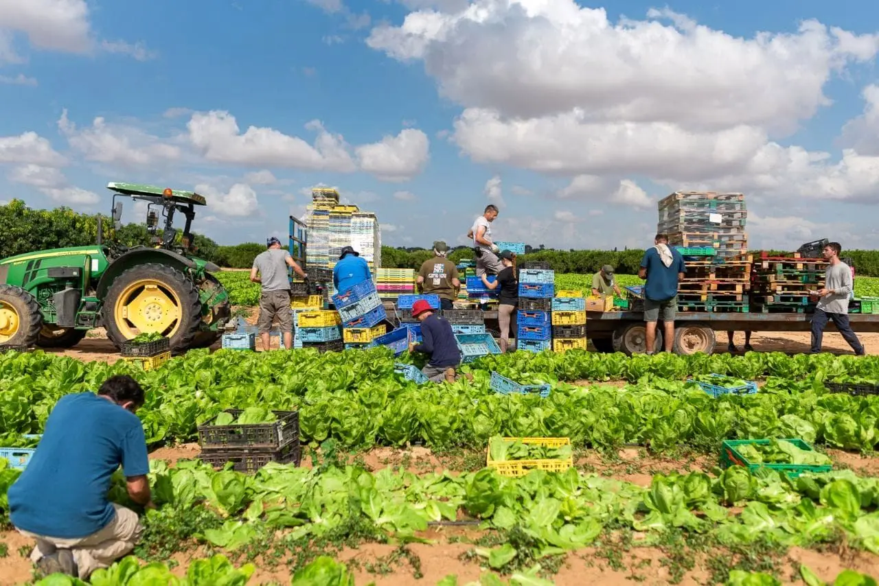 ادعای جروزالم‌پست: ایران برای فلج کردن کشاورزی اسرائیل به تایلند پیشنهادی مخفیانه داده بود