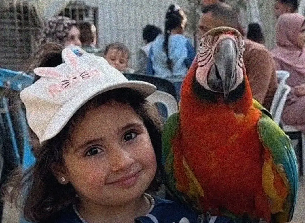 باغ‌وحش آوارگان در غزه