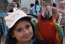باغ‌وحش آوارگان در غزه