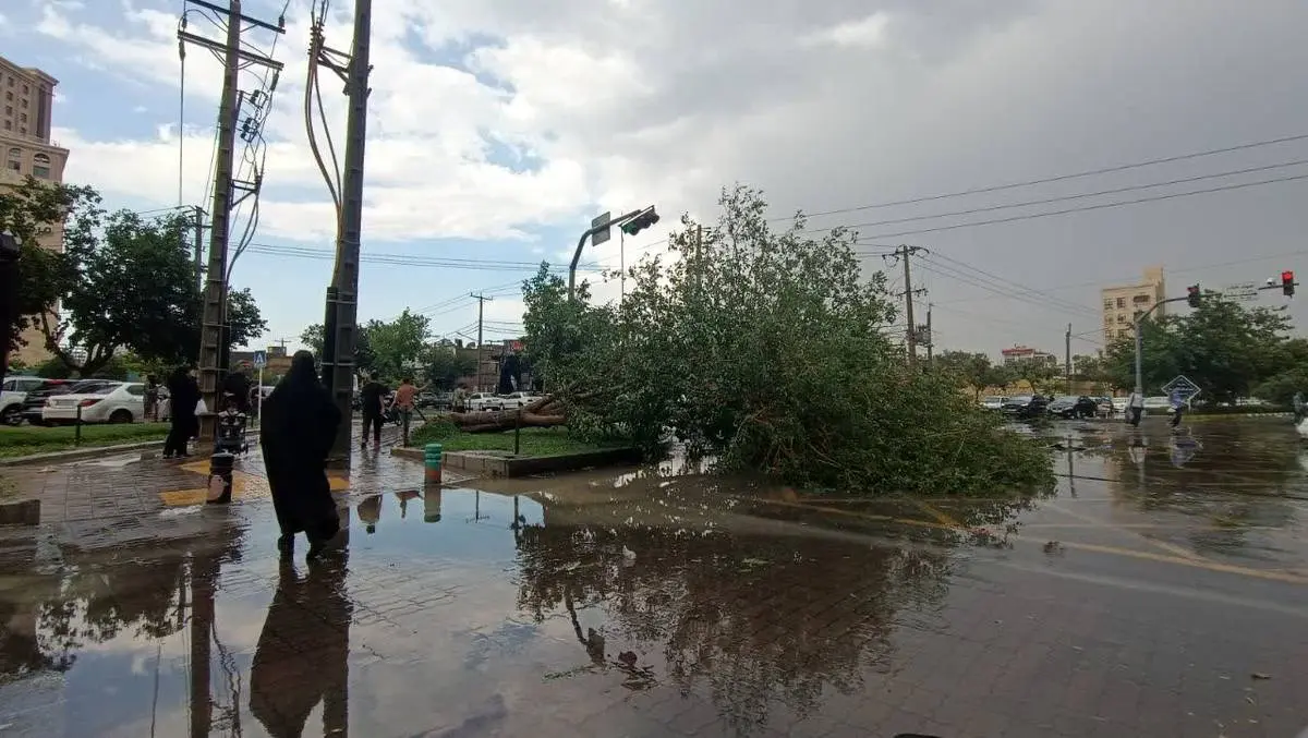 گالری