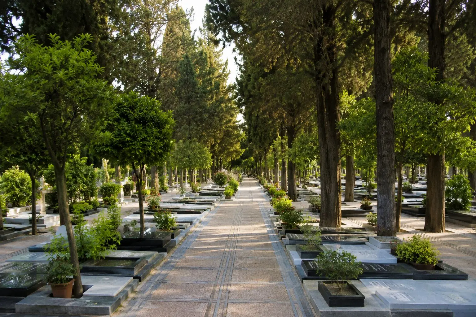 ۲ چالش جانمایی فضای جدید برای آرامستان‌ تهران