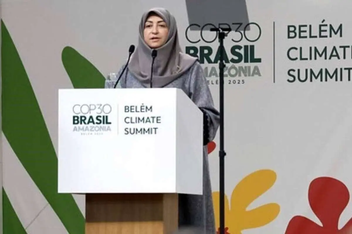  ۴ میلیارد شد، نه ۵۰ میلیارد/ توضیح سازمان محیط زیست درباره سفر شینا انصاری