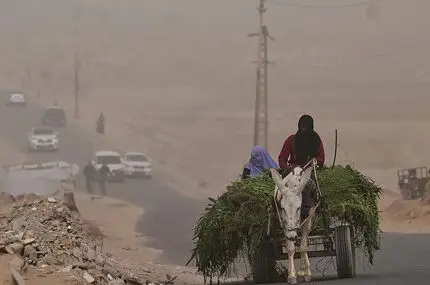قاچاق شیر با الاغ در تاریکی شب