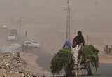 قاچاق شیر با الاغ در تاریکی شب