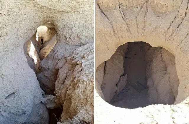 ماجرای فوت قناتی که سرو ۴۰۰۰ ساله ابرکوه را آبیاری می‌کرد