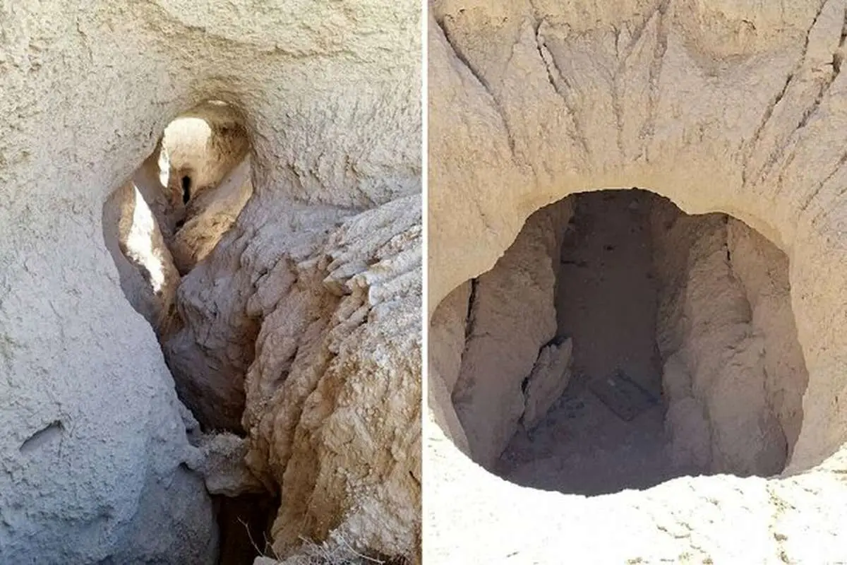 ماجرای فوت قناتی که سرو ۴۰۰۰ ساله ابرکوه را آبیاری میکرد