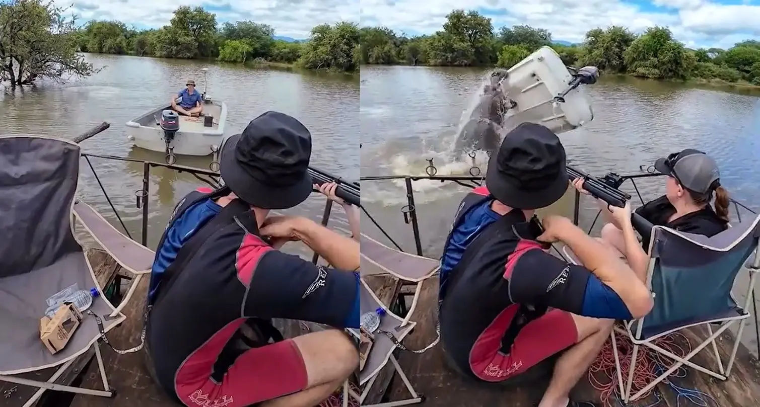 اسب‌ آبی خشمگین قایق را سرنگون کرد