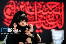 تصاویر؛ شیرخوارگان حسینی
