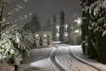 نیوزیلند سفیدپوش شد