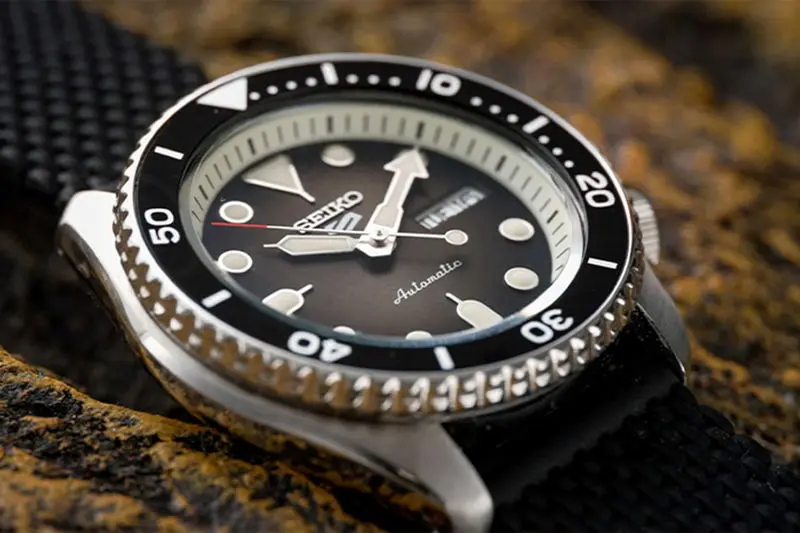 photo_2025-10-13_14-35-25