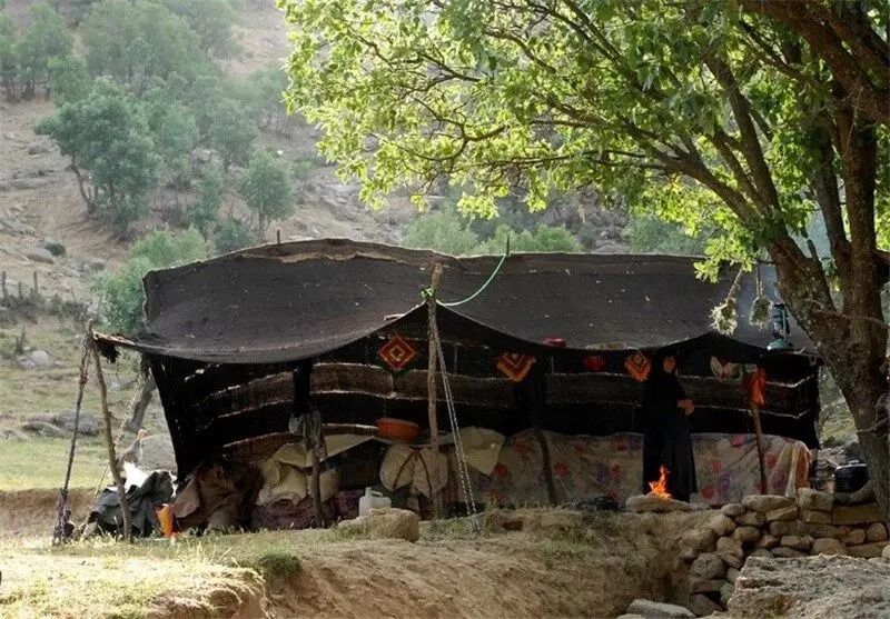 جزئیات شهادت ۴ عضو خانواده عشایری شهرستان دشتی