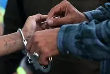 یکی از عوامل وقوع برخی جرایم خشن در سال‌های گذشته، حضور اتباع غیرمجاز بود
