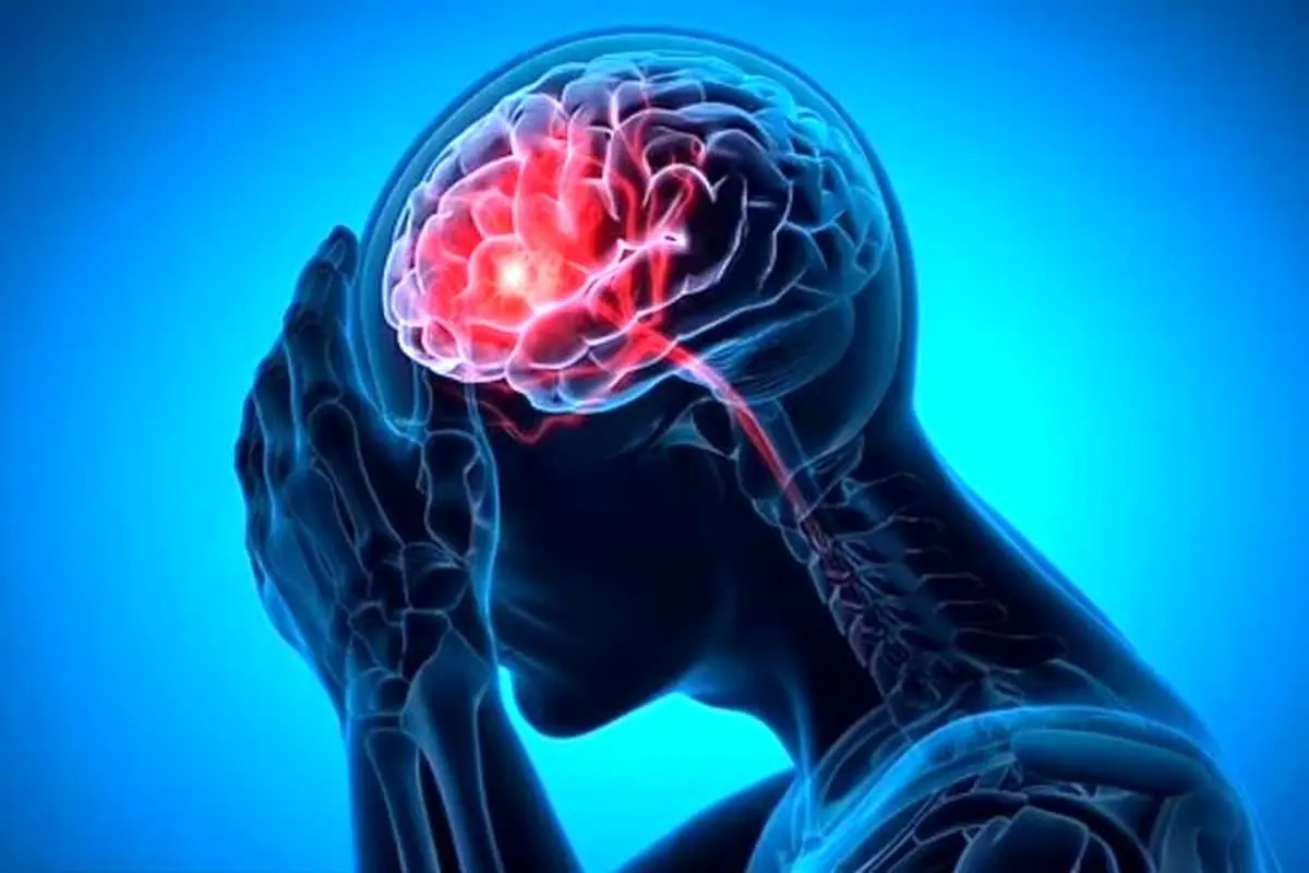 چگونه از پیر شدن مغز خود جلوگیری کنیم؟