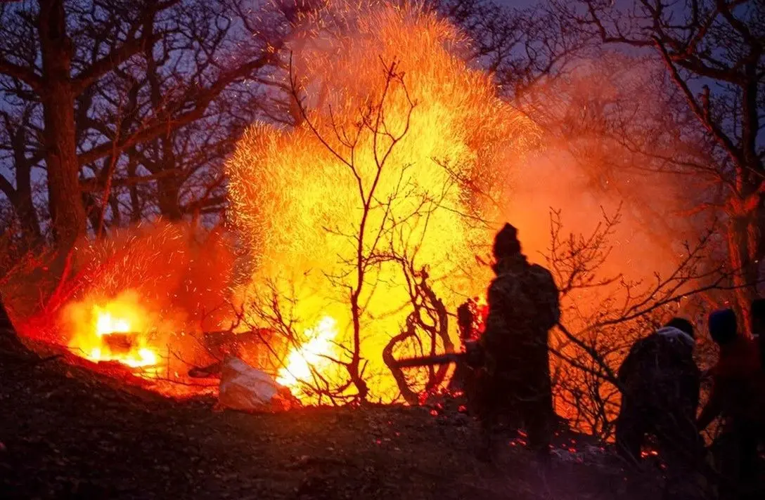 عامل آتش‌سوزی جنگل‌های چالوس انسانی است؟