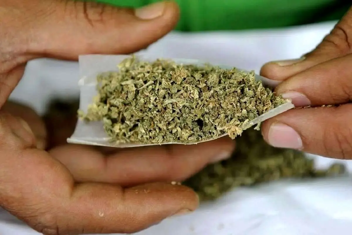 چگونه بفهمیم فرزندمان گل می‌کشد؟