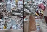 اهدای ۷ هزار قطعه تاریخی پس از ۲۰ سال جمع‌آوری