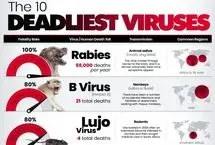  اینفوگرافی| مرگبارترین ویروس‌های جهان بر اساس نرخ مرگ پس از ابتلا
