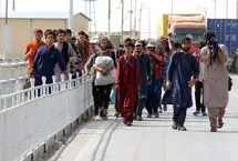 افزایش خروج اتباع غیر مجاز در استان تهران