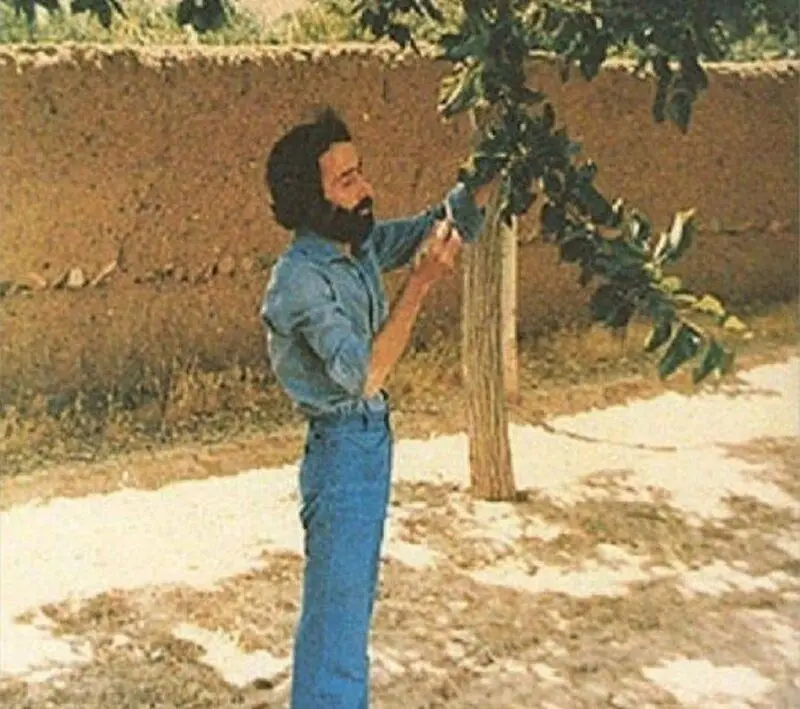 سهراب سپهری